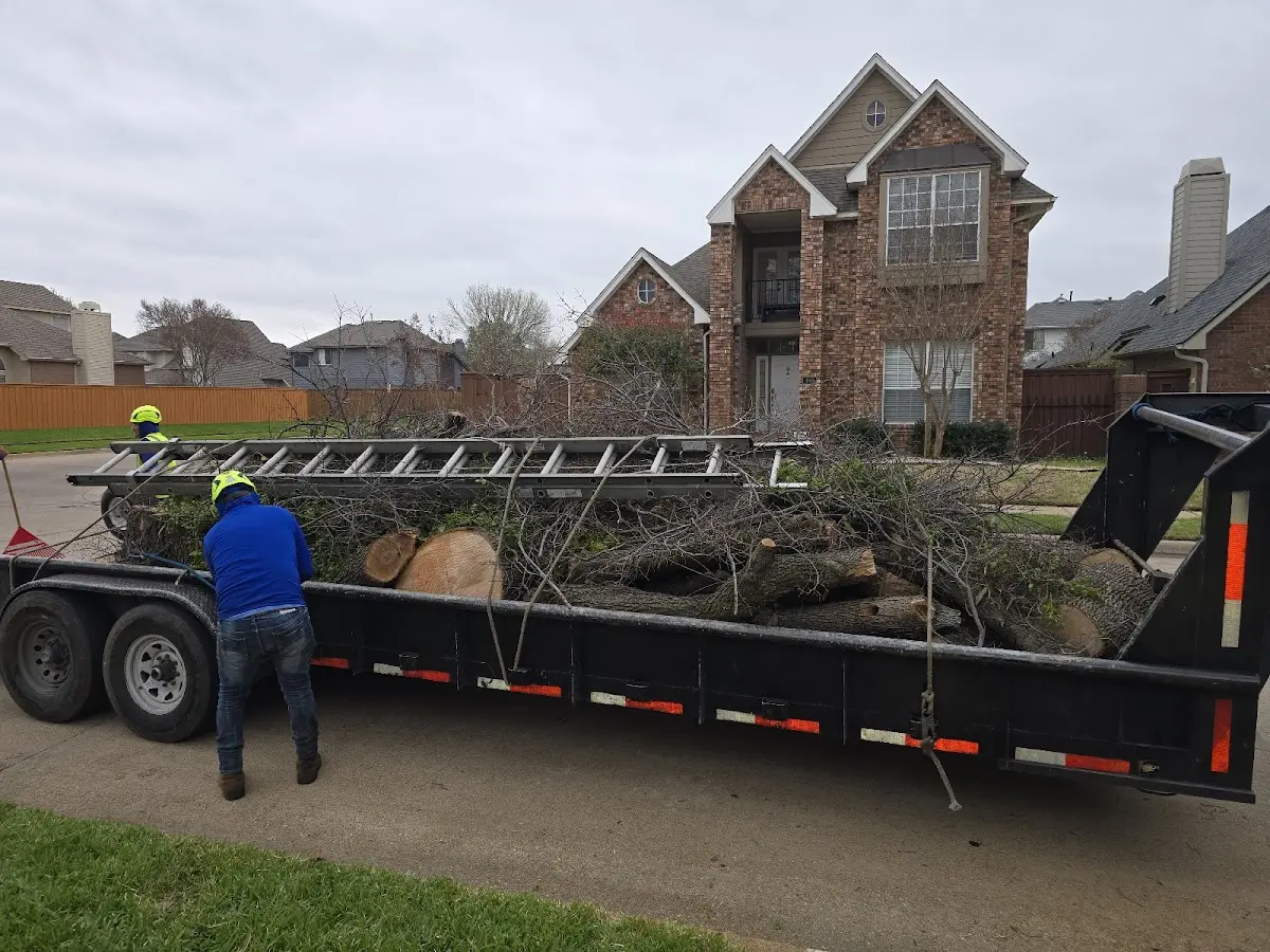 Expert Lot Clearing with proper safety equipment in Benld